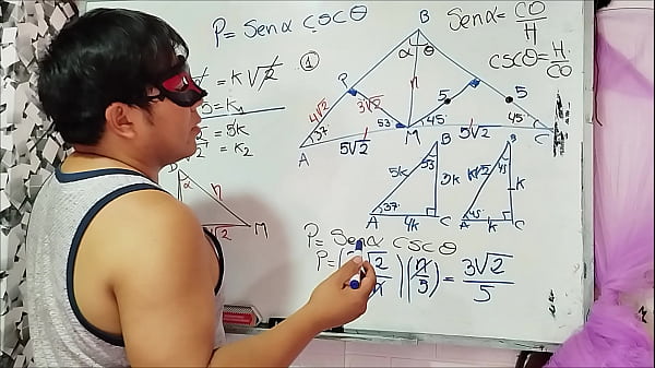 7 Trigonometry: Trigonometric Ratios – Sexual Mathematics – Exercises